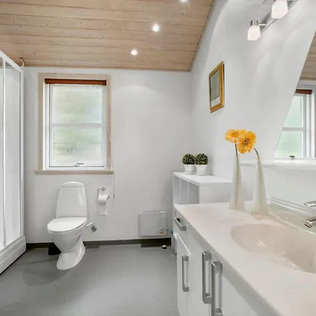 Дом отдыха Jb930-fjerritslev-revlingestien-85 *